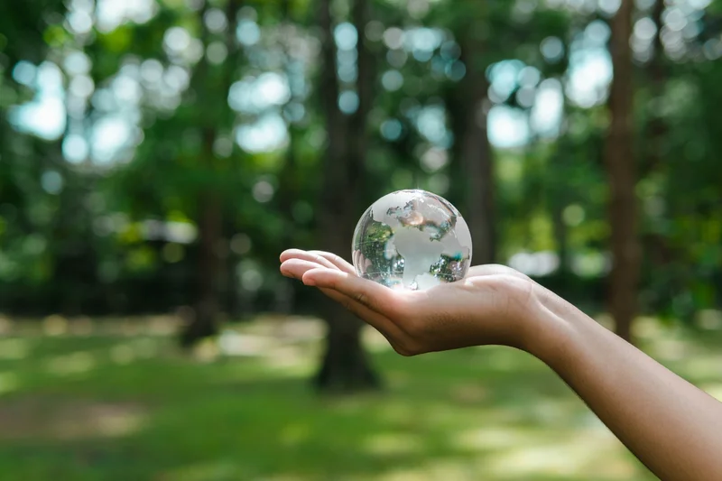 Nos actions pour la planète... Notre impact positif commence ici !